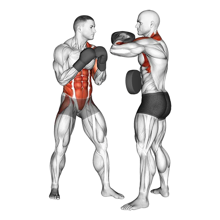 Boxing Left Uppercut (with partner) exercise animation (Male)