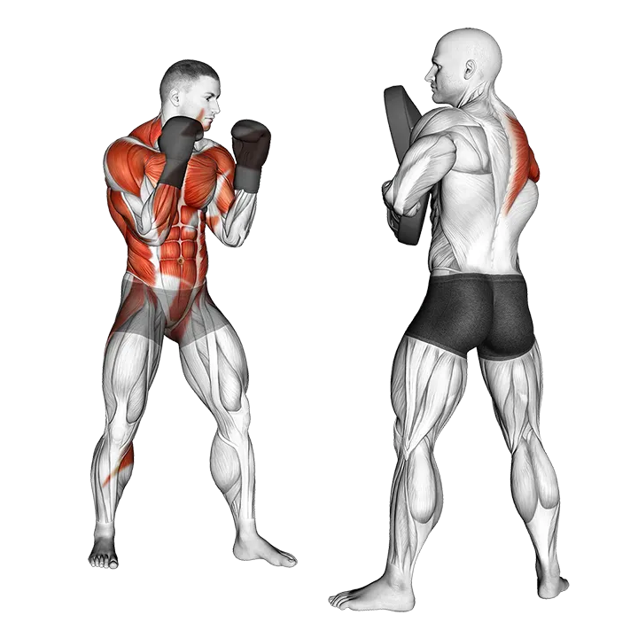 Boxing Right Cross (with partner) exercise animation (Male)