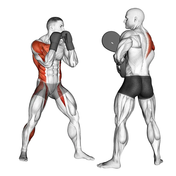 Boxing Right Hook (with partner) exercise animation (Male)