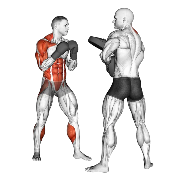 Boxing Right Uppercut (with partner) exercise animation (Male)