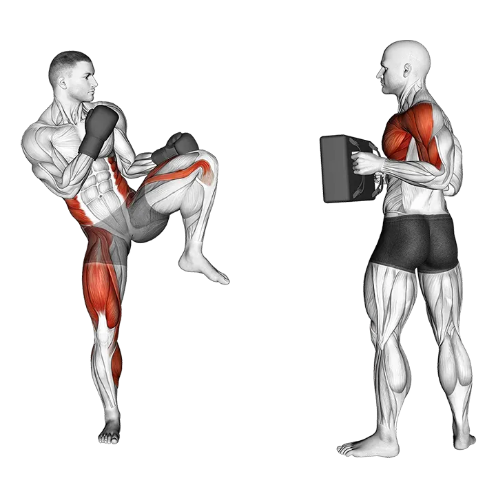 Front Kick Kickboxing (with partner) exercise animation (Male)