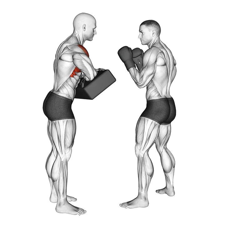 Front Knee Kick Kickboxing (with partner) exercise animation (Male)