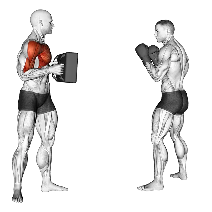 Front Snap Kick Kickboxing (with partner) exercise animation (Male)