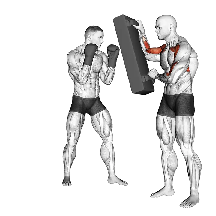 Hook Kick Kickboxing (with partner) exercise animation (Male)