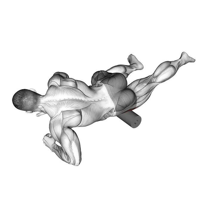 Roll Tensor Fasciae Latae exercise animation (Hombre)