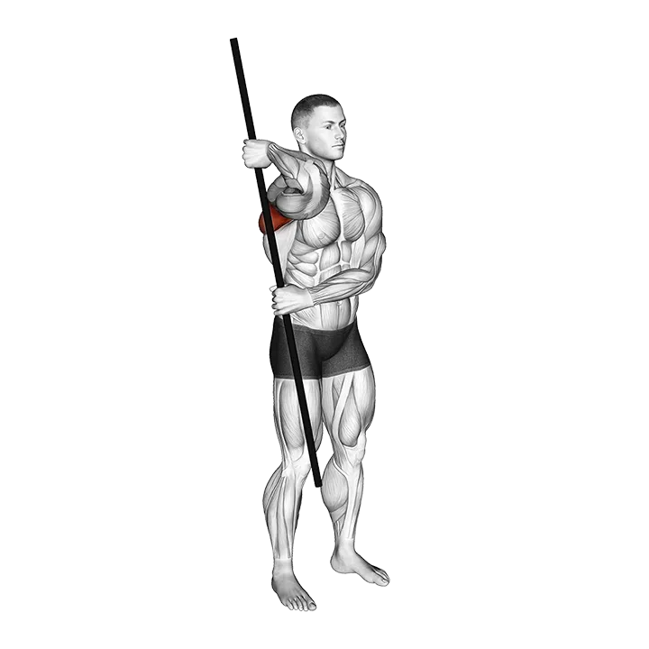 PVC External Rotation exercise animation (Male)