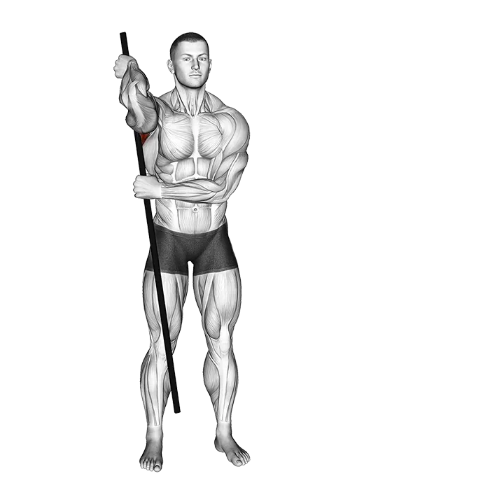 PVC Front Rack Stretch exercise animation (Male)