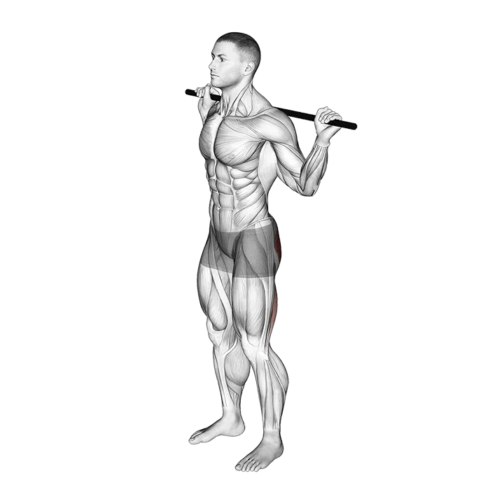 PVC Good Morning exercise animation (Male)