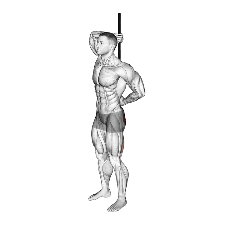 PVC Hip Hinge exercise animation (Male)