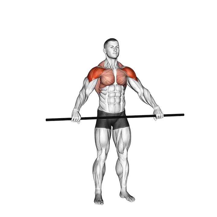 PVC Pass Through exercise animation (Male)