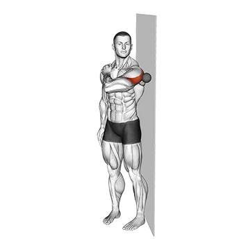 Roll Ball Deltoid Posterior