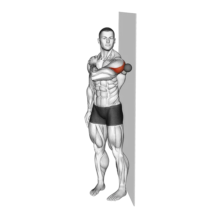 Roll Ball Deltoid Posterior exercise animation (Male)