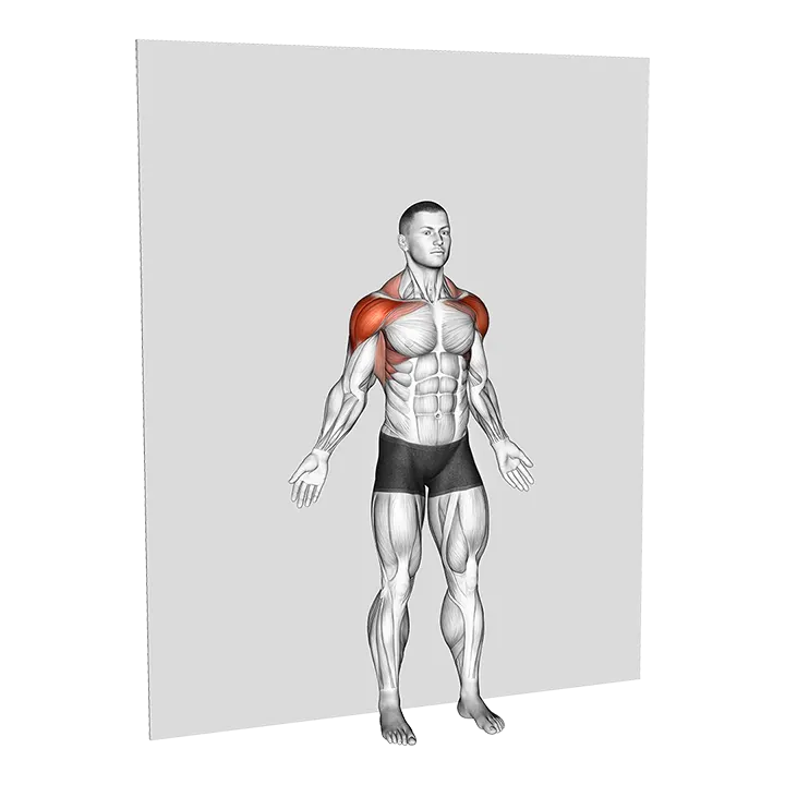 Bodyweight Standing Around World Wall Supported exercise animation (Hombre)