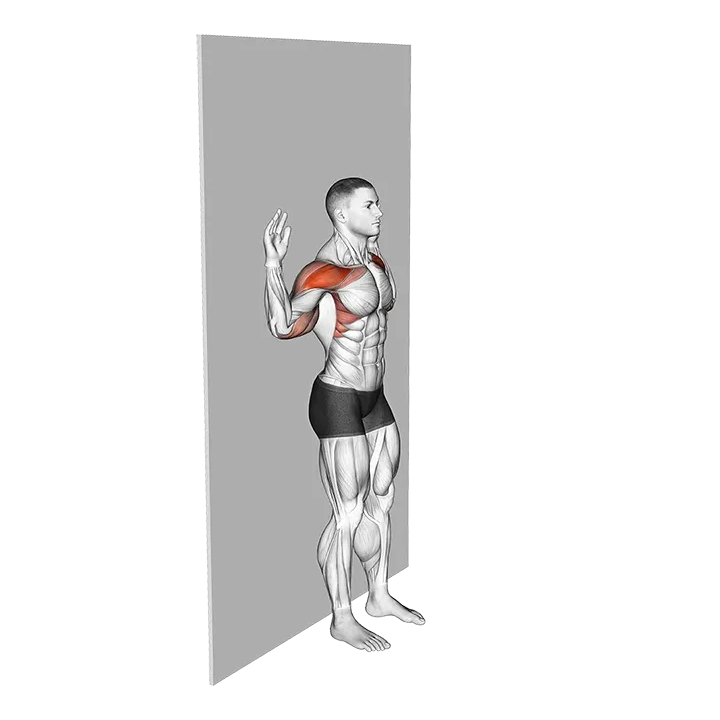 Bodyweight Standing Military Press Wall Supported exercise animation (Male)