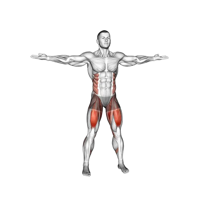 Hip Swirls exercise animation (Male)