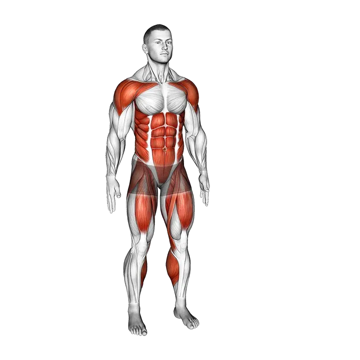 Leg Front Kick exercise animation (Male)