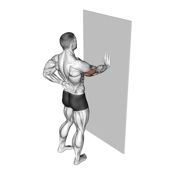 Single Arm Push-up Supported Wall exercise animation (Male)