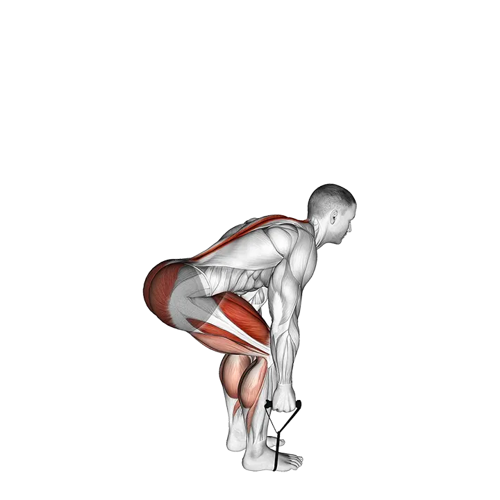 Band Deadlift exercise animation (Male)