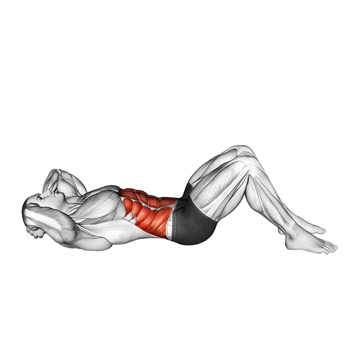 Twisting Crunch exercise animation (Male)