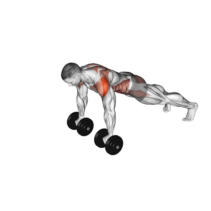Dumbbell Front Plank Arm Raise exercise animation (Male)