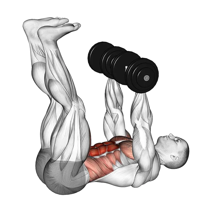 Dumbbell Crunch Up exercise animation (Male)