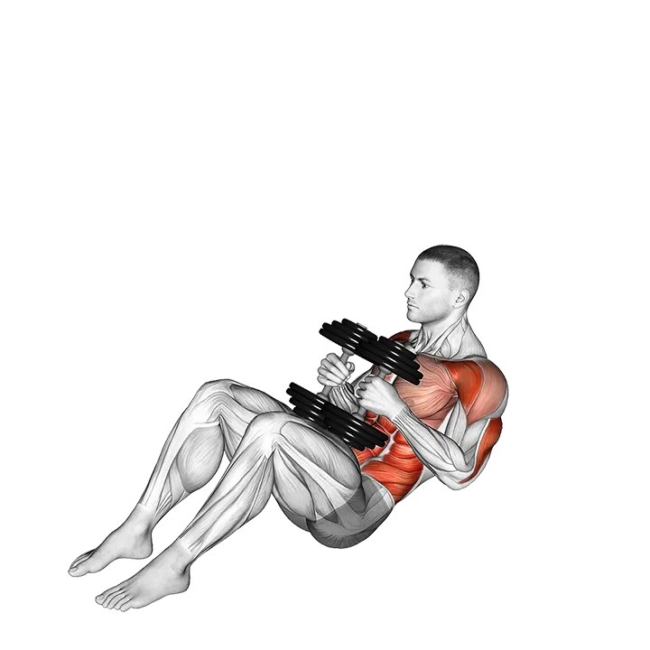 Dumbbell Russian Twist Close Grip Shoulder Press Sit-up exercise animation (Male)
