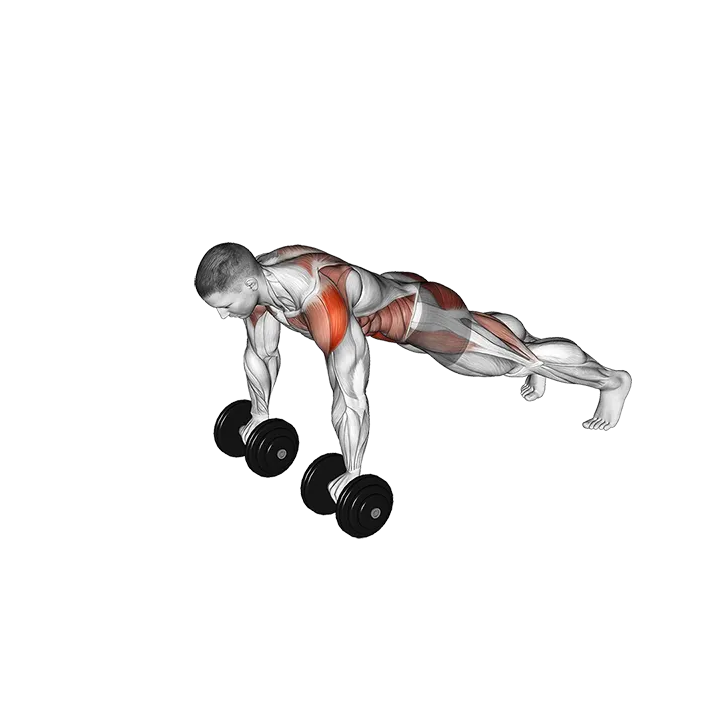 Dumbbell Front Plank Arm Leg Raise exercise animation (Male)