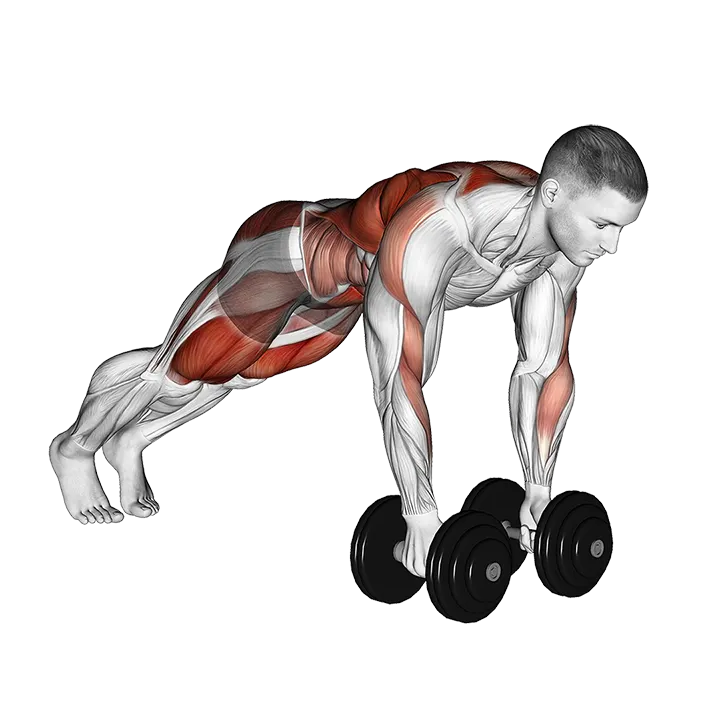 Dumbbell Renegade Row to Squat exercise animation (Male)