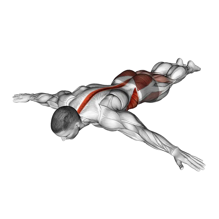 Scorpion Stretch exercise animation (Male)