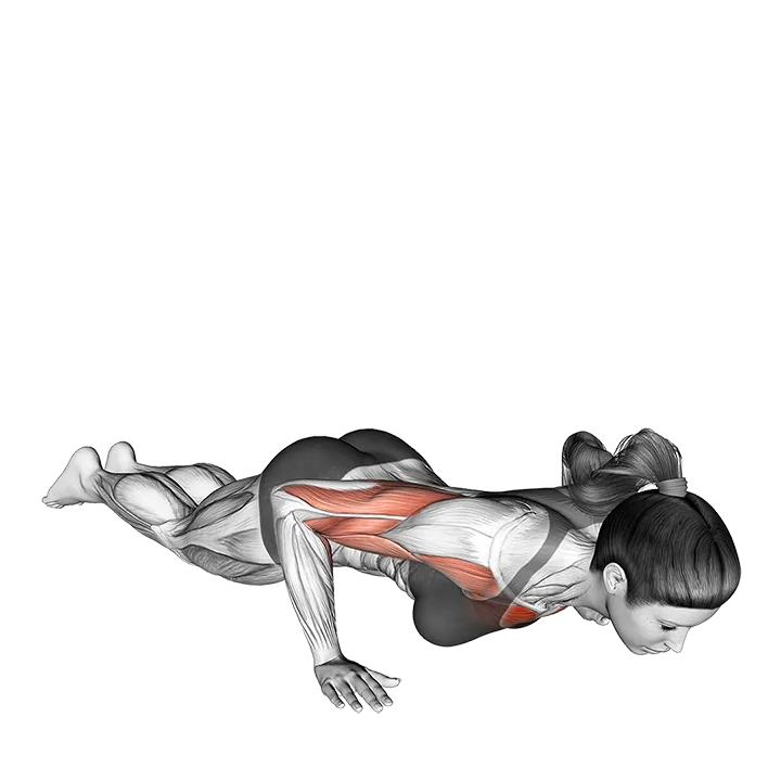 Kneeling Shoulder Tap Push-up exercise animation (Female)