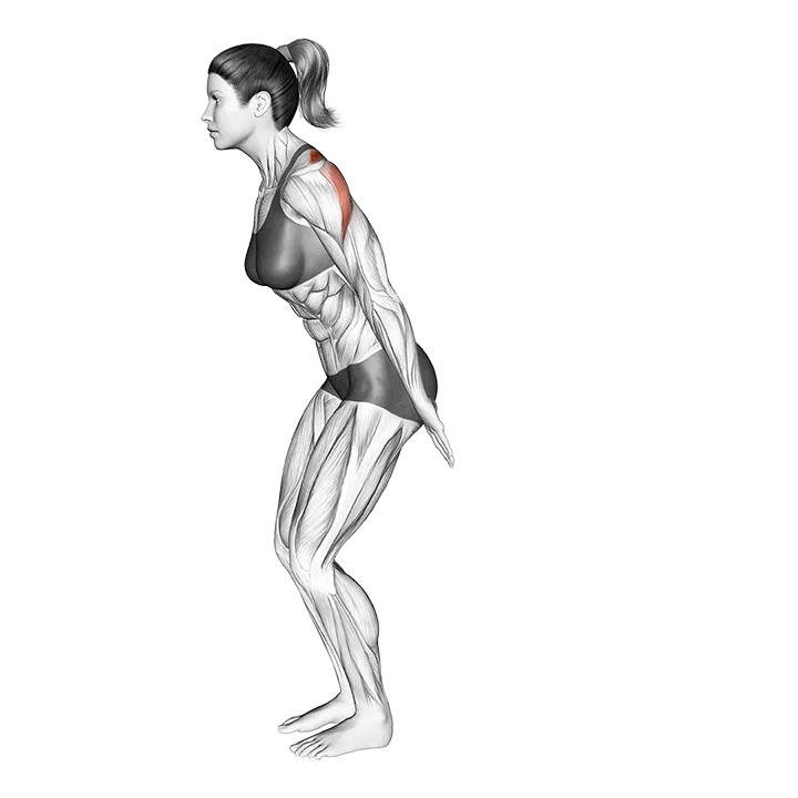 Backhand Raise exercise animation (Female)