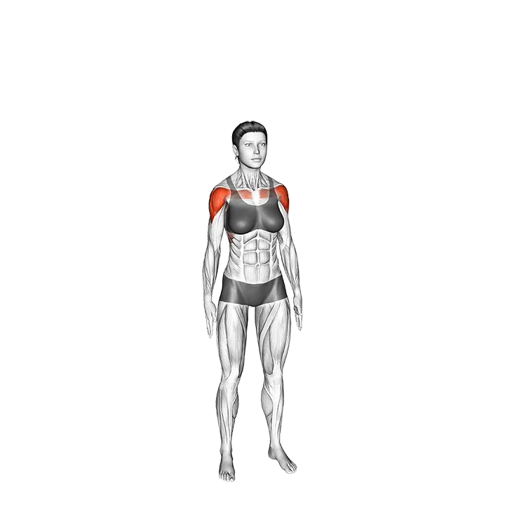 Overhead Clap exercise animation (Female)