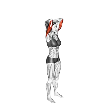 Bodyweight Overhead Triceps Extension