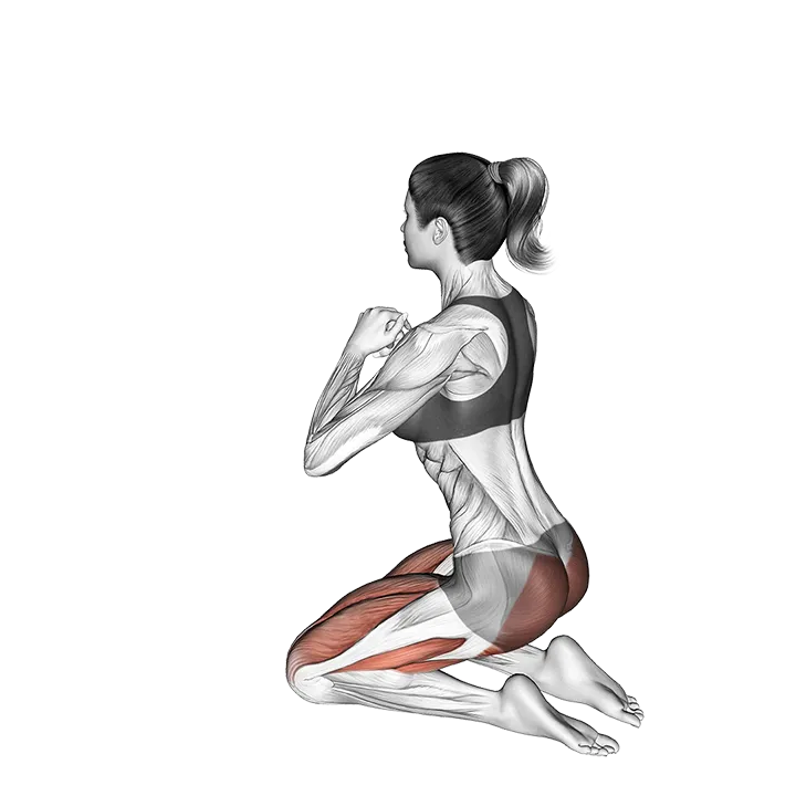 Kneeling Hip Thrust exercise animation (Female)