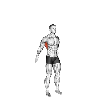 Dynamic Back Stretch