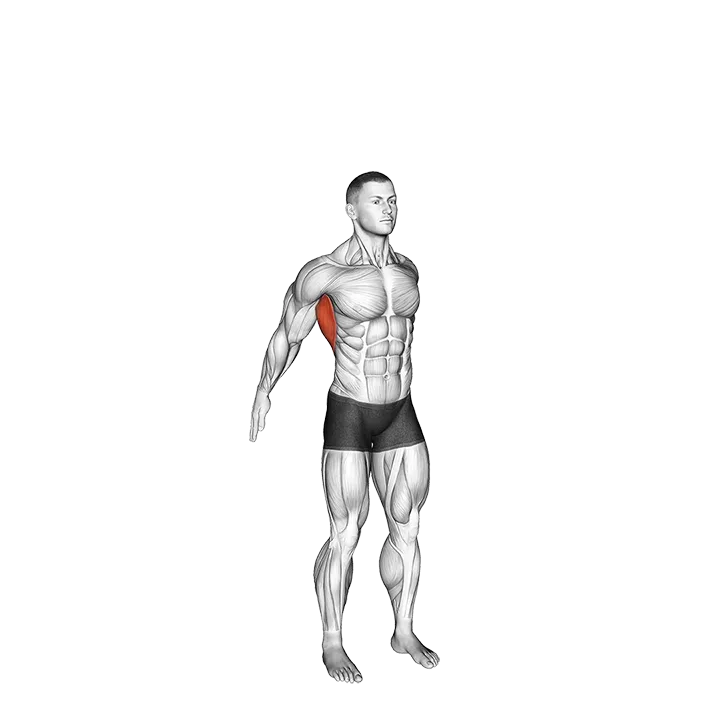 Dynamic Back Stretch exercise animation (Male)