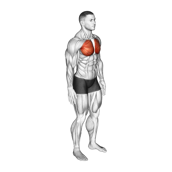 Elbows Back Stretch exercise animation (Male)