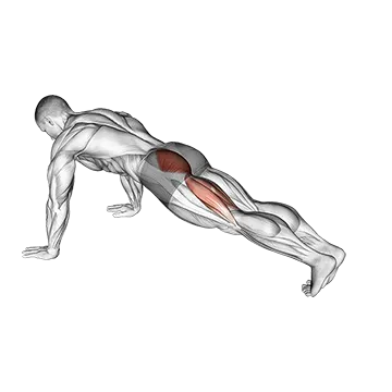Hip Extension Stretch