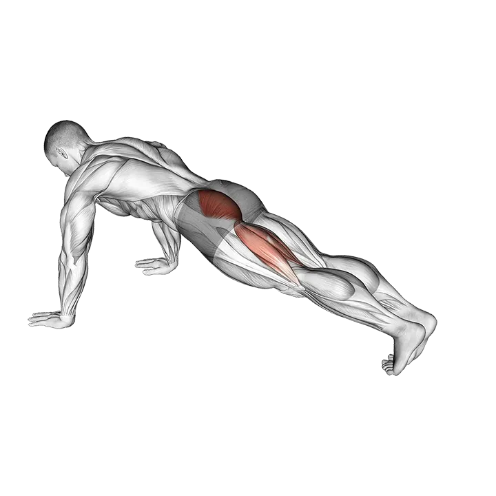 Hip Extension Stretch exercise animation (Male)