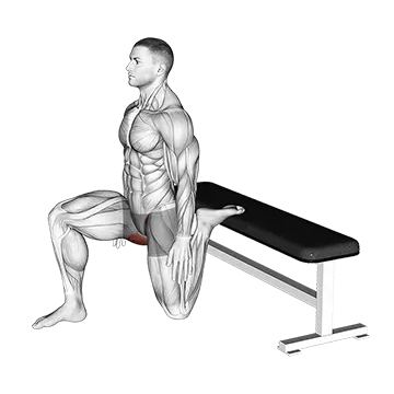 Hip Flexor Stretch Rear foot elevated