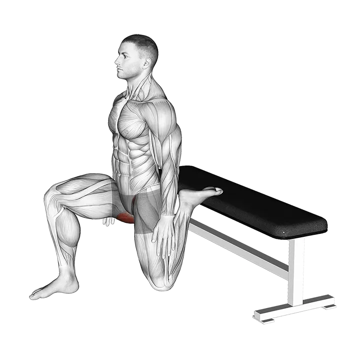 Hip Flexor Stretch Rear foot elevated exercise animation (Male)