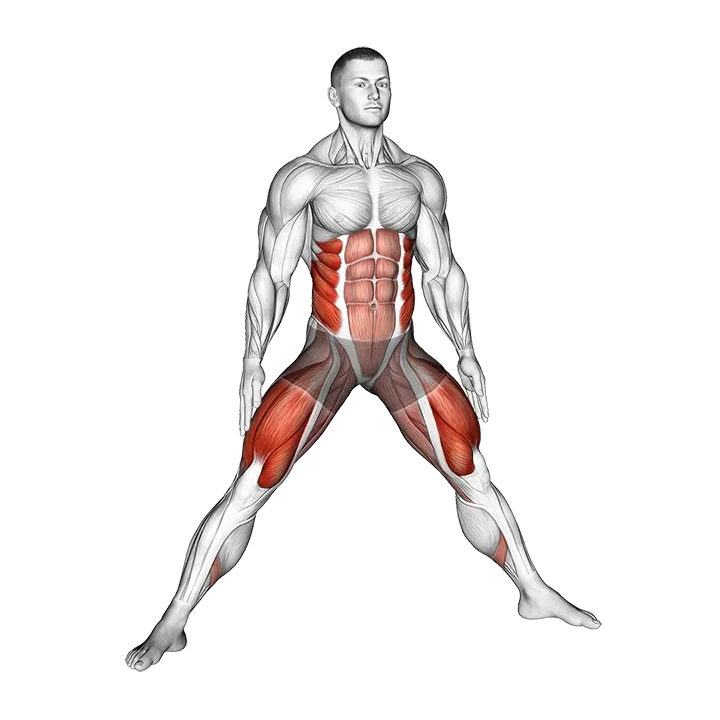 Plyo Side Lunge Stretch exercise animation (Male)