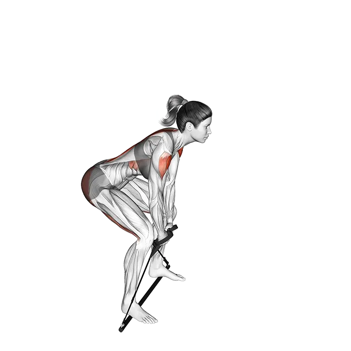 Bar Band Swing exercise animation (Mujer)