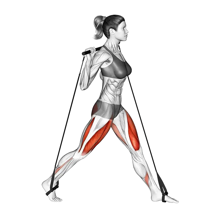Bar Band Split Squat exercise animation (Female)