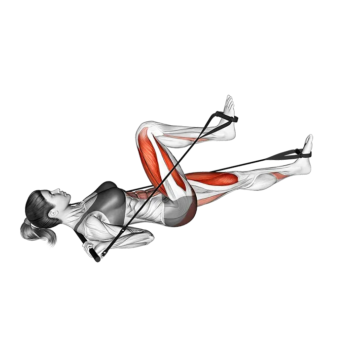 Bar Band Lying Alternate Leg Press exercise animation (Female)