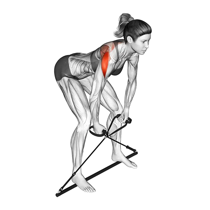 Bar Band Bent Over Rear Delt Fly exercise animation (Female)