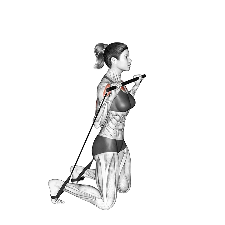 Bar Band Kneeling Incline Press exercise animation (Female)