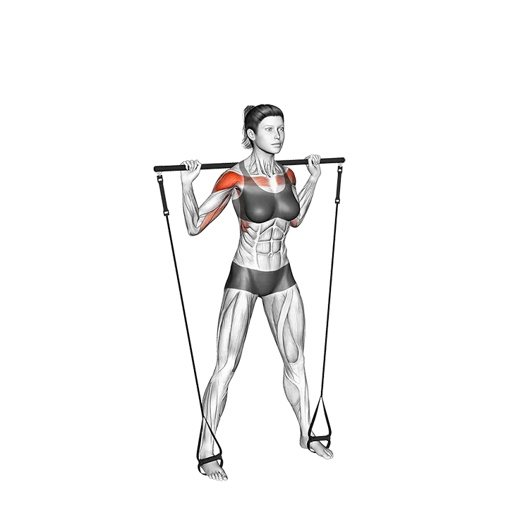 Bar Band Standing Behind Head Military Press exercise animation (Female)