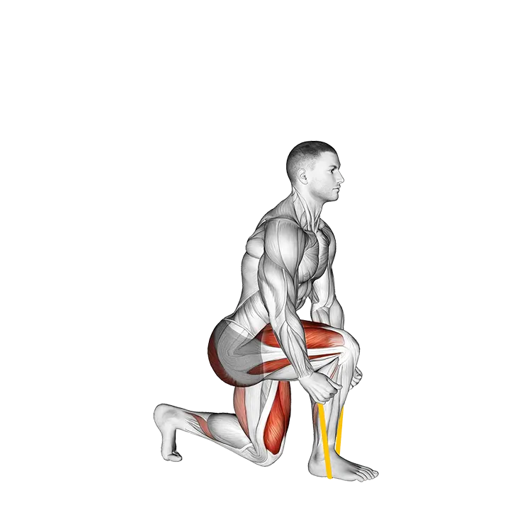 Resistance Band Split Squat exercise animation (Male)