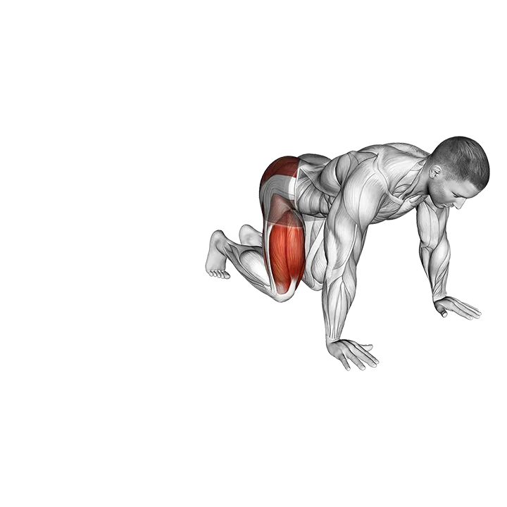 Kneeling Side Leg to Kick exercise animation (Male)